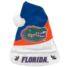 Florida Gators Colorblock Santa Hat