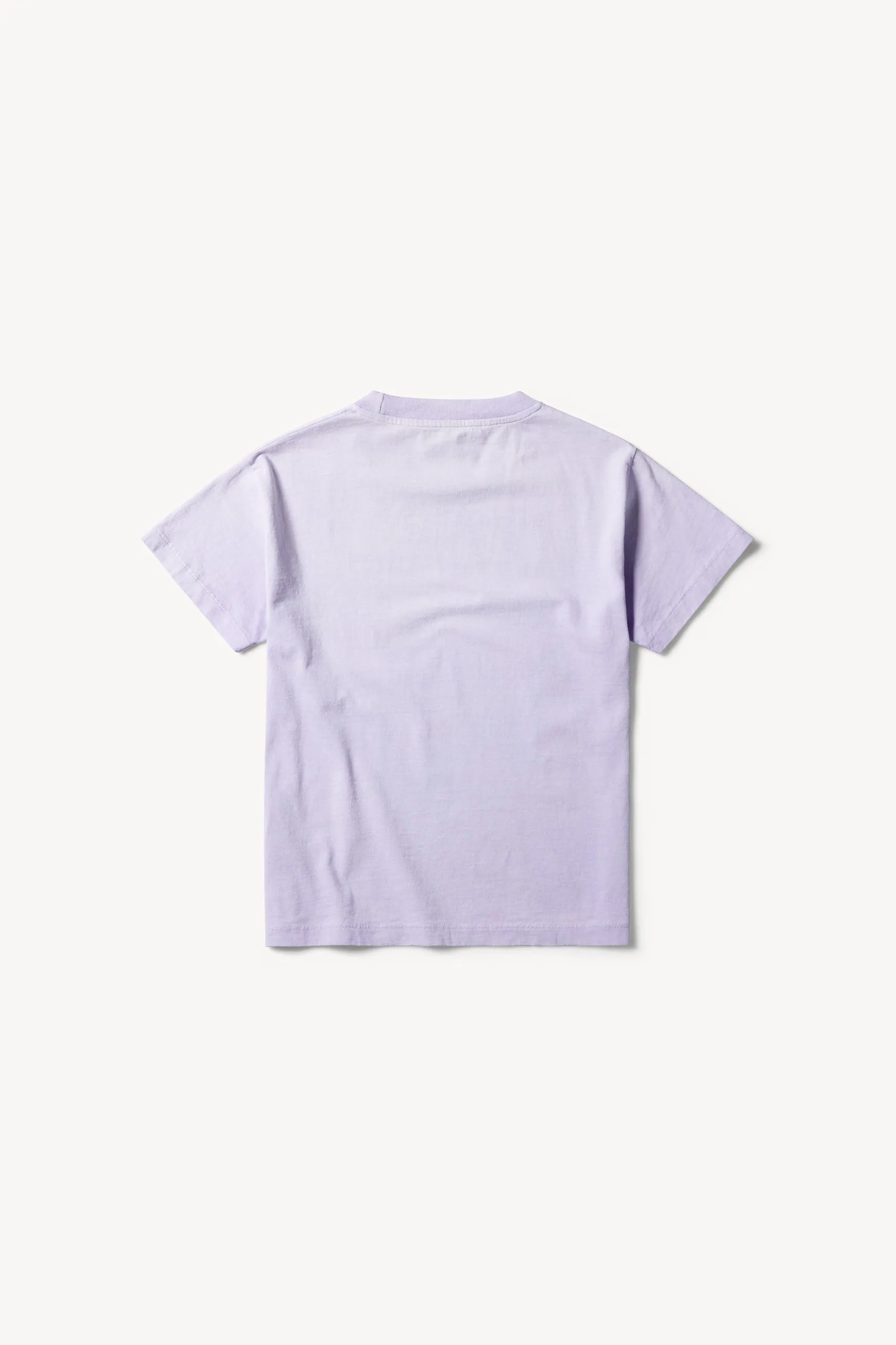 Sunbleached Temple SS Tee - Baby